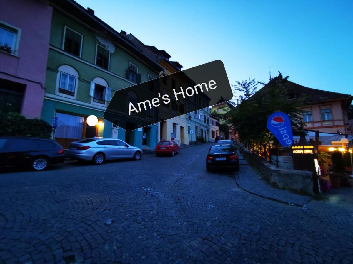 Ame'S Home Сігішоара Екстер'єр фото